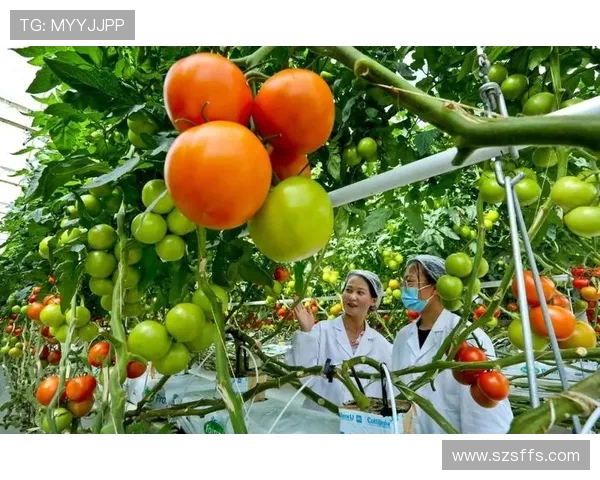 辽宁本钢加快产业转型升级推动钢铁绿色智能制造高质量发展