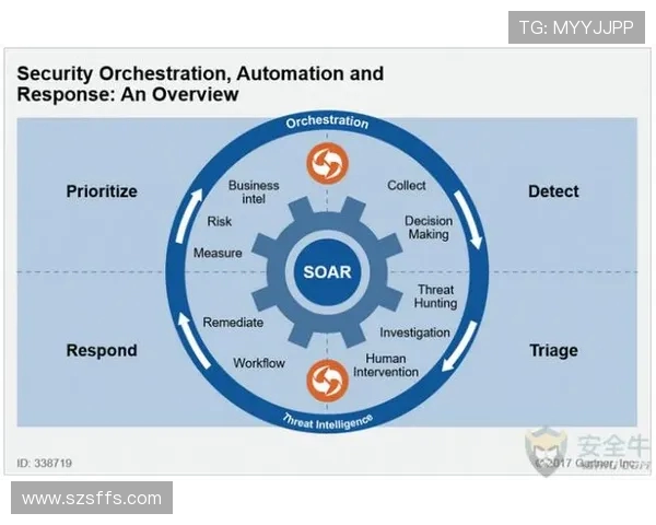 北京滑板队协作之道：团队配合与技术提升的深度分析