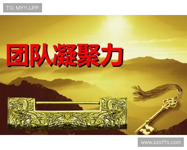 深圳乒乓球队的团队协作之道:凝聚力与默契的完美结合 深圳乒乓球队的团队协作之道:凝聚力与默契的完美结合